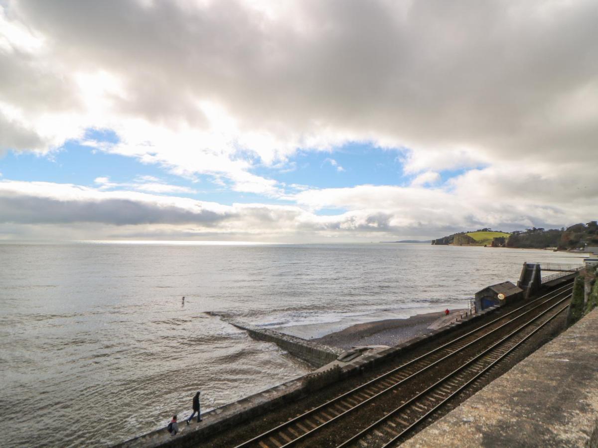 Rose * Teignmouth